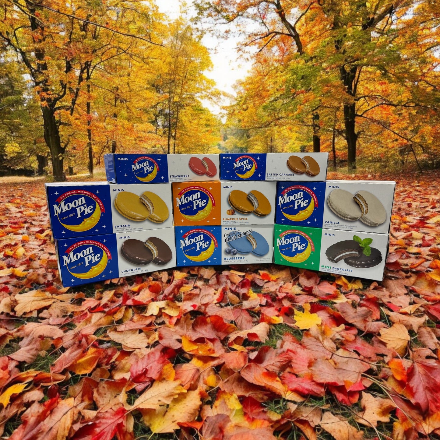 Variety Pack (Mix & Match 8 Flavors)