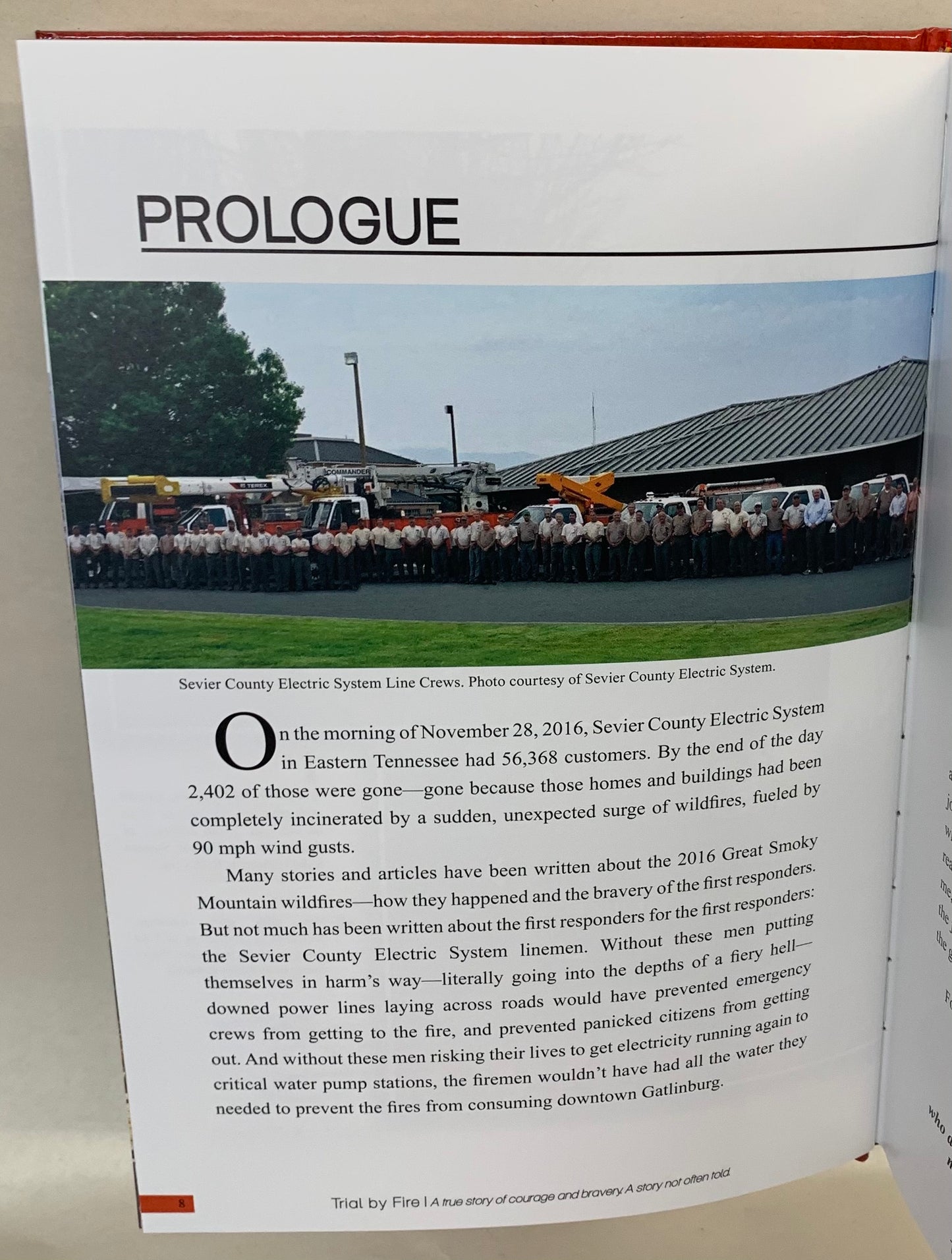 "Trial by Fire" by Allen E. Robbins with Suzanne Shelton