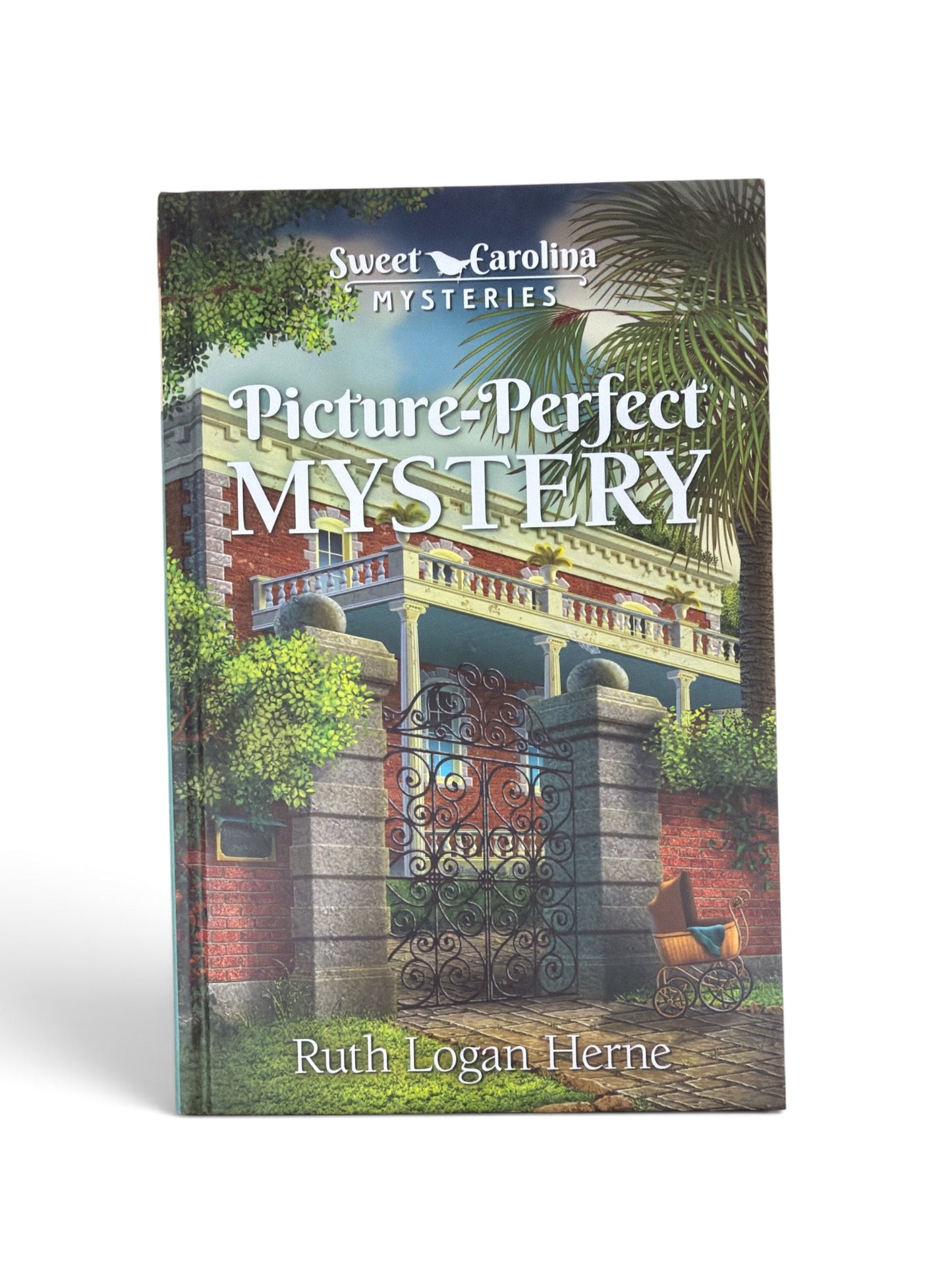 Picture-Perfect Mystery by Ruth Logan Herne