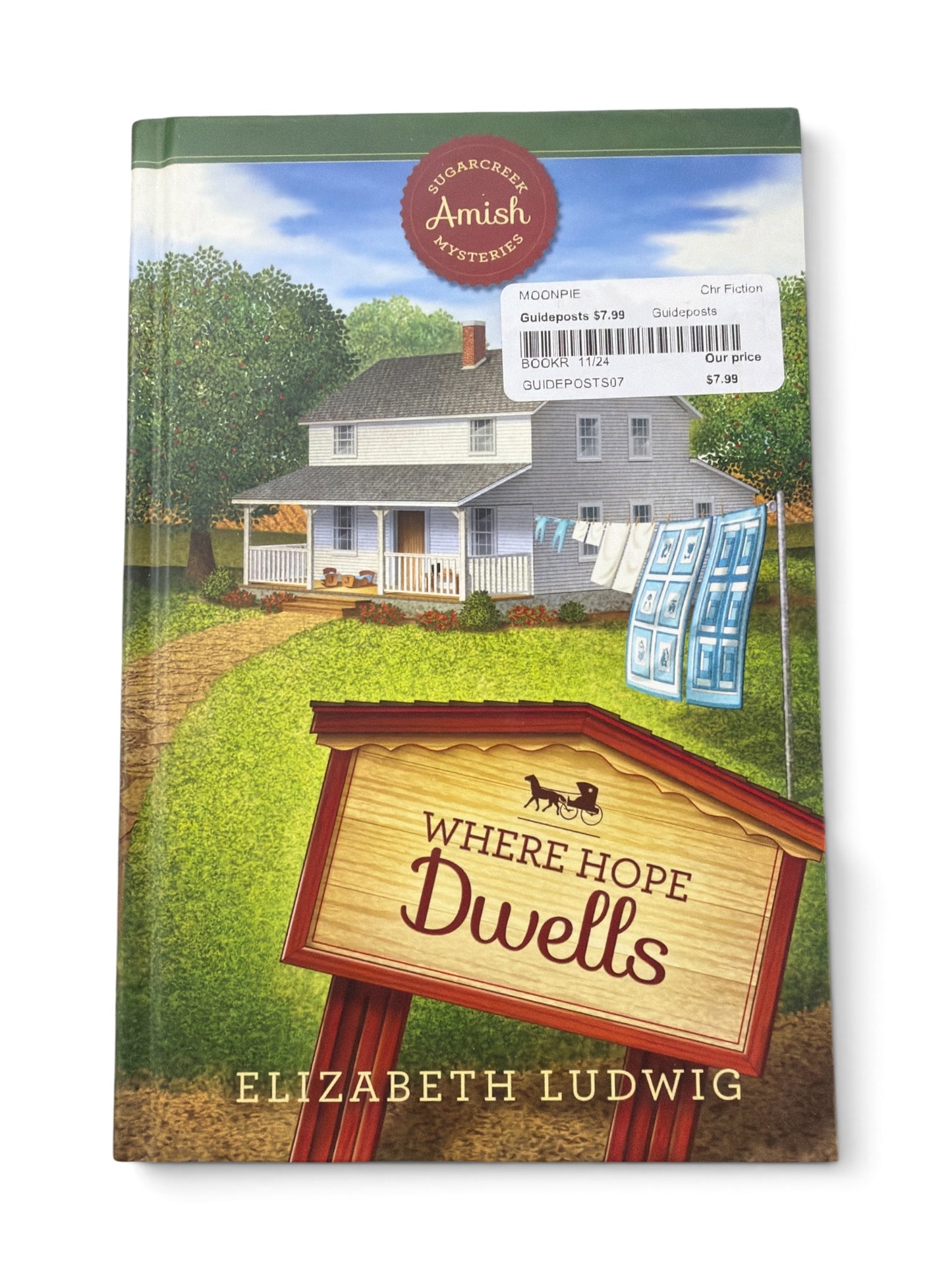 Where Hope Dwells (Sugarcreek Amish Mysteries) | Elizabeth Ludwig