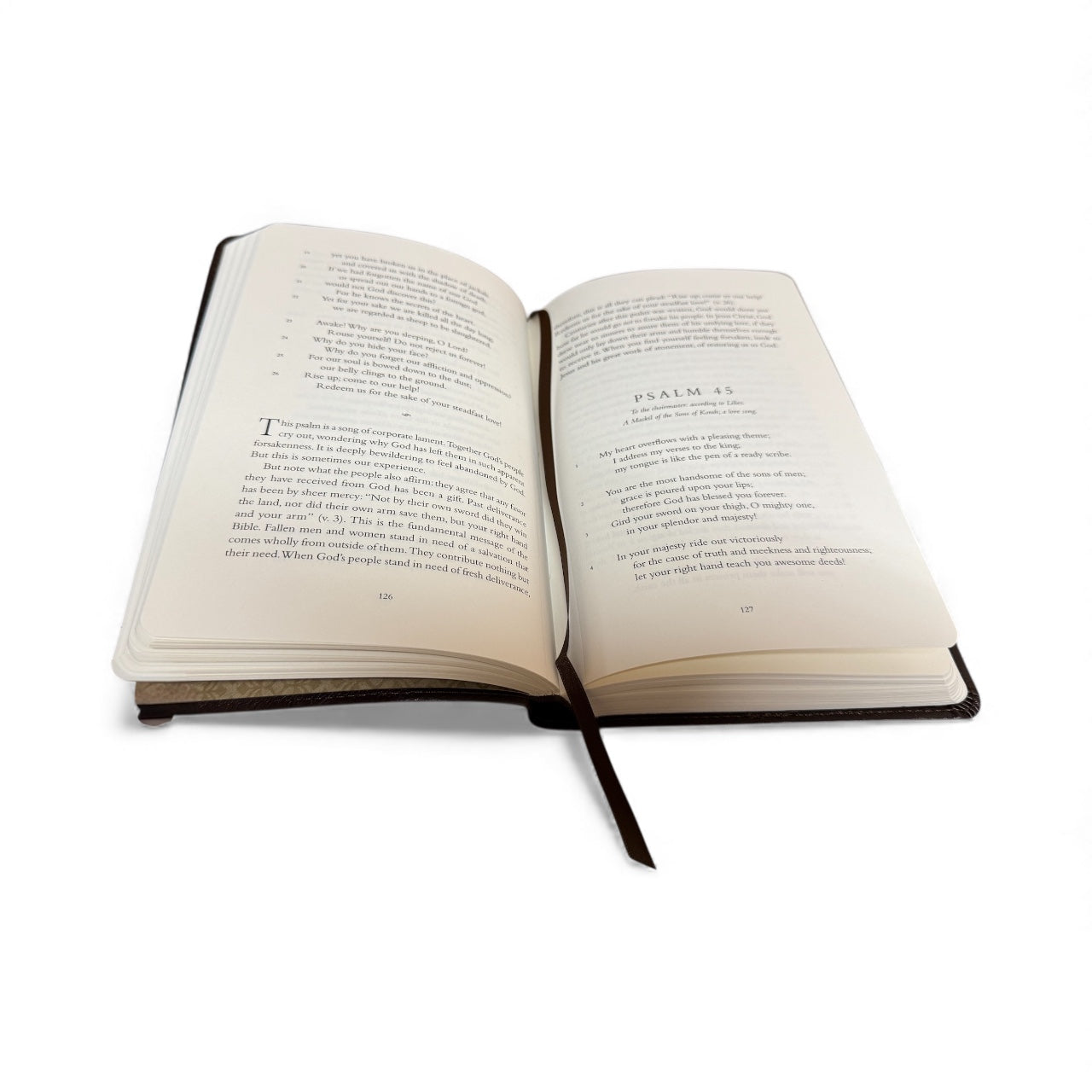 In The Lord I Take Refuge