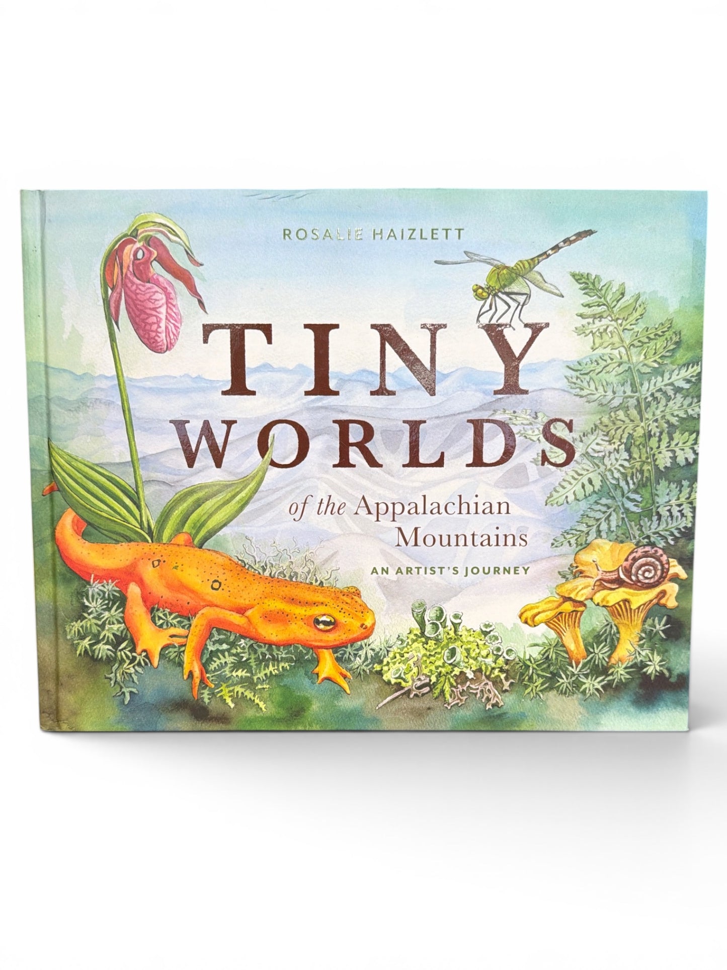A hardcover art book titled 'Tiny Worlds of the Appalachian Mountains' by Rosalie Haizlett, featuring a colorful watercolor-style cover illustration with a green tree, pink lady's sneaker flower, orange salamander, and a snail on a white background.