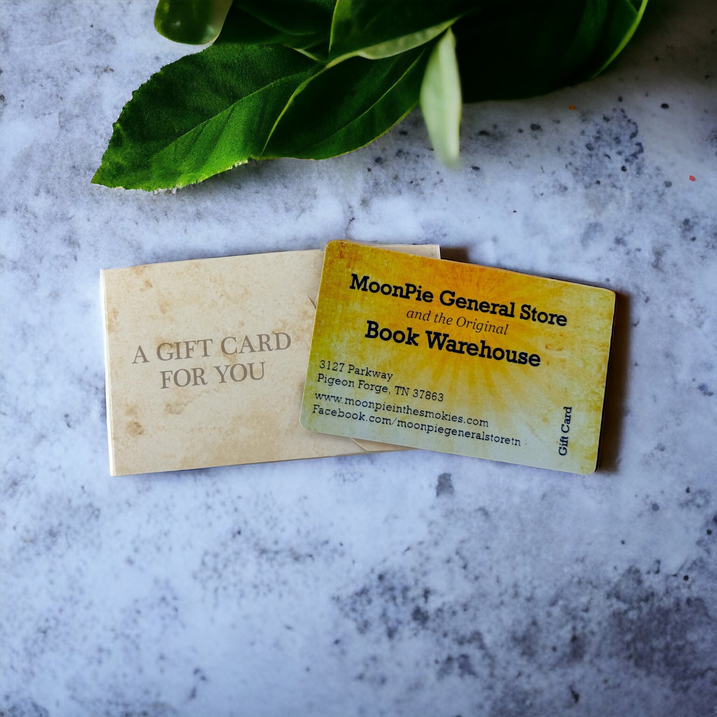 MoonPie General Store and Book Warehouse Gift Card