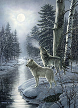 Load image into Gallery viewer, &quot;Wolves by Moonlight&quot; puzzle by Cobble Hill
