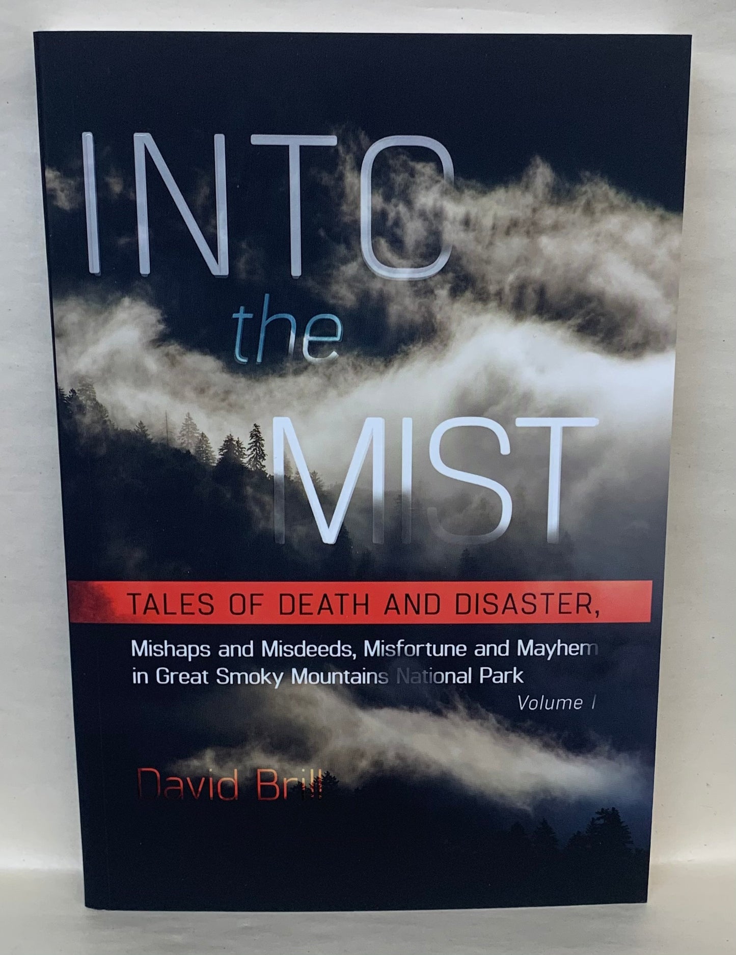 "Into the Mist" by David Brill