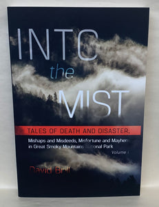 "Into the Mist" by David Brill