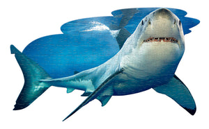 "I Am Lil' Shark" puzzle by Madd Capp